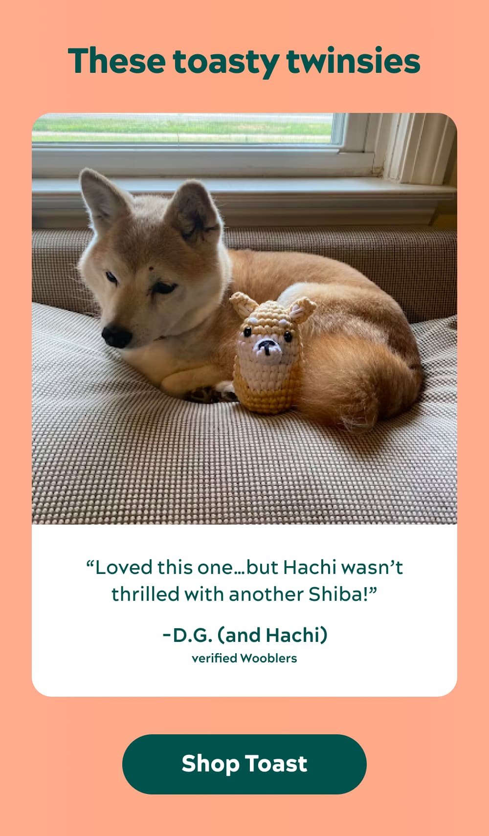 These toasty twinsies  “Loved this one…but Hachi wasn’t thrilled with another Shiba!” -D.G. (and Hachi),verified Wooblers [Shop Toast]