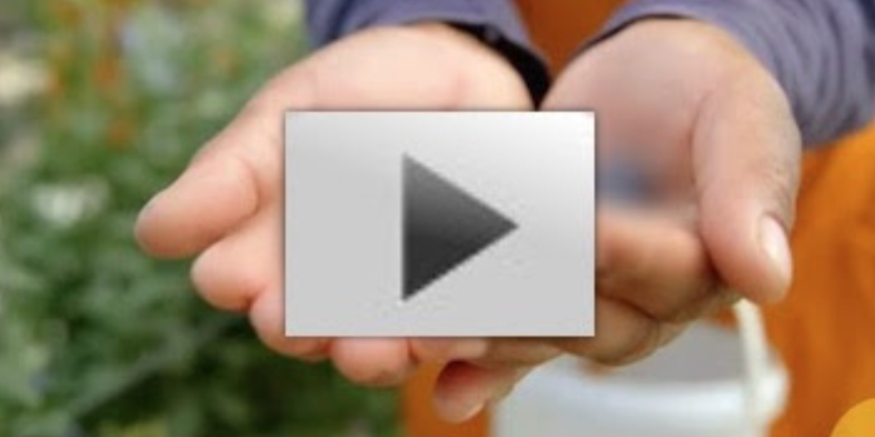 click here to watch video
