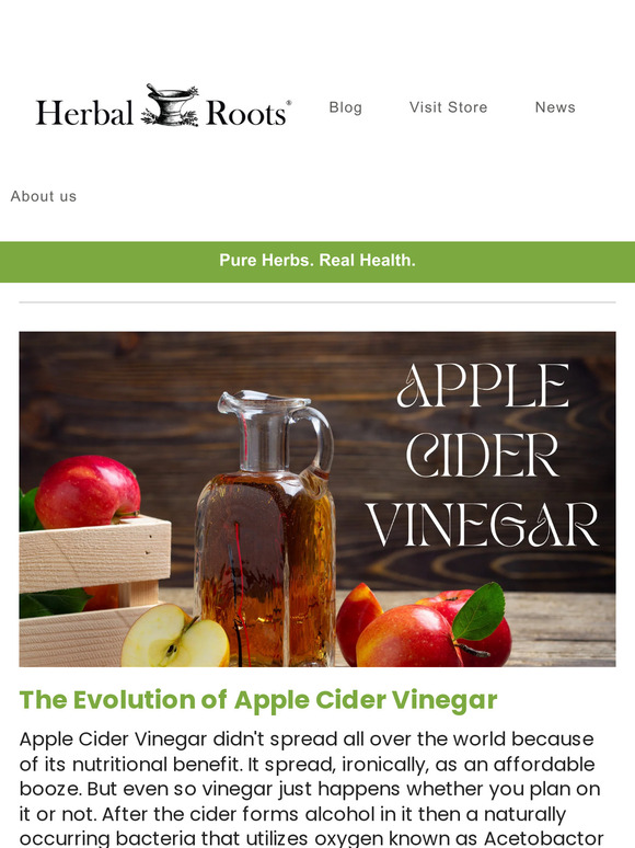 Herbal Roots The History of Apple Cider Vinegar and Why It Gained