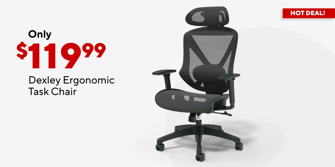 Dexley Ergonomic Chair only $119.99