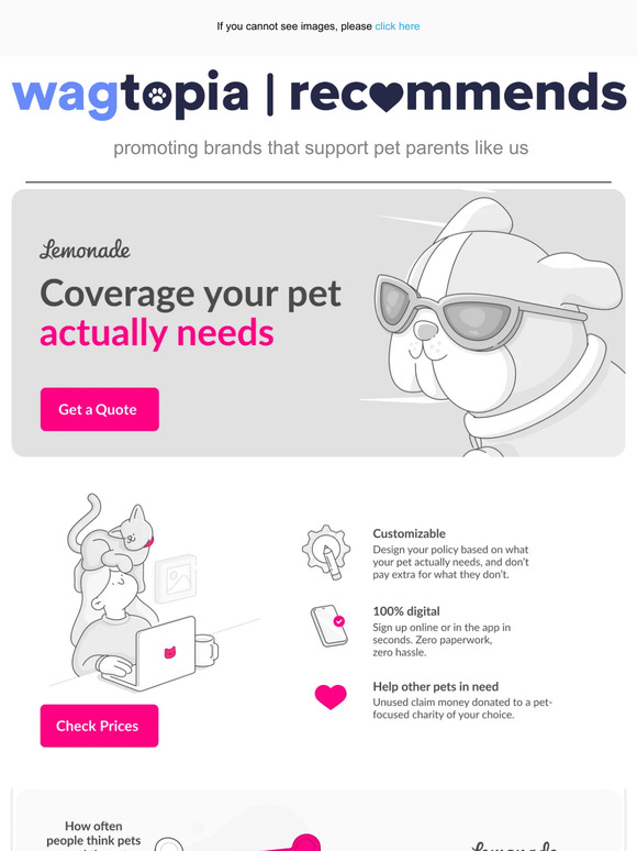 Protect Your Pet With a Plan That Works
