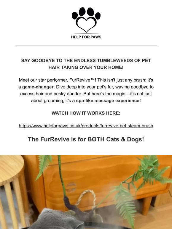 The Best Pet Brush You'll Ever Own - NEW IN!