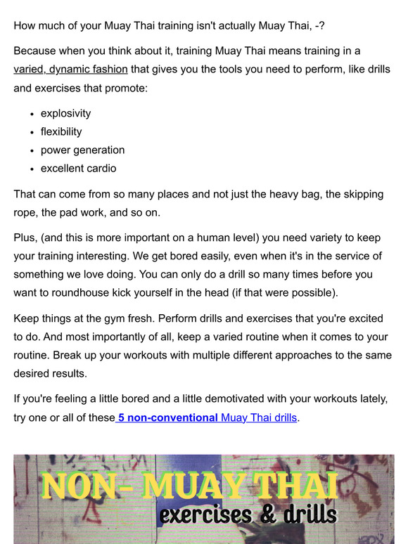 HOW MUCH IS MUAY THAI TRAINING visual data 2