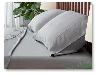 Arctic Aire•MAX Pillowcases