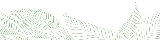 Leaf Detail