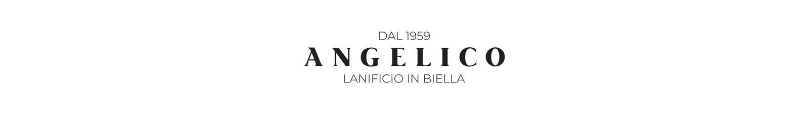 Questo testo viene mostrato quando l'immagine è bloccata