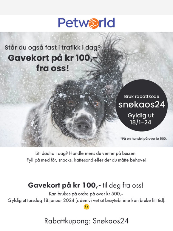 Gavekort til deg som står og venter!❄️🚌