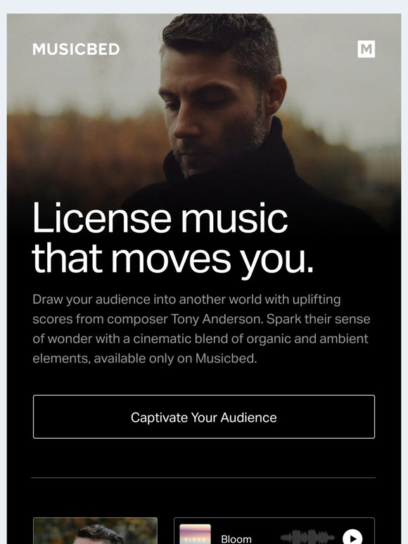 Draw your audience into another world