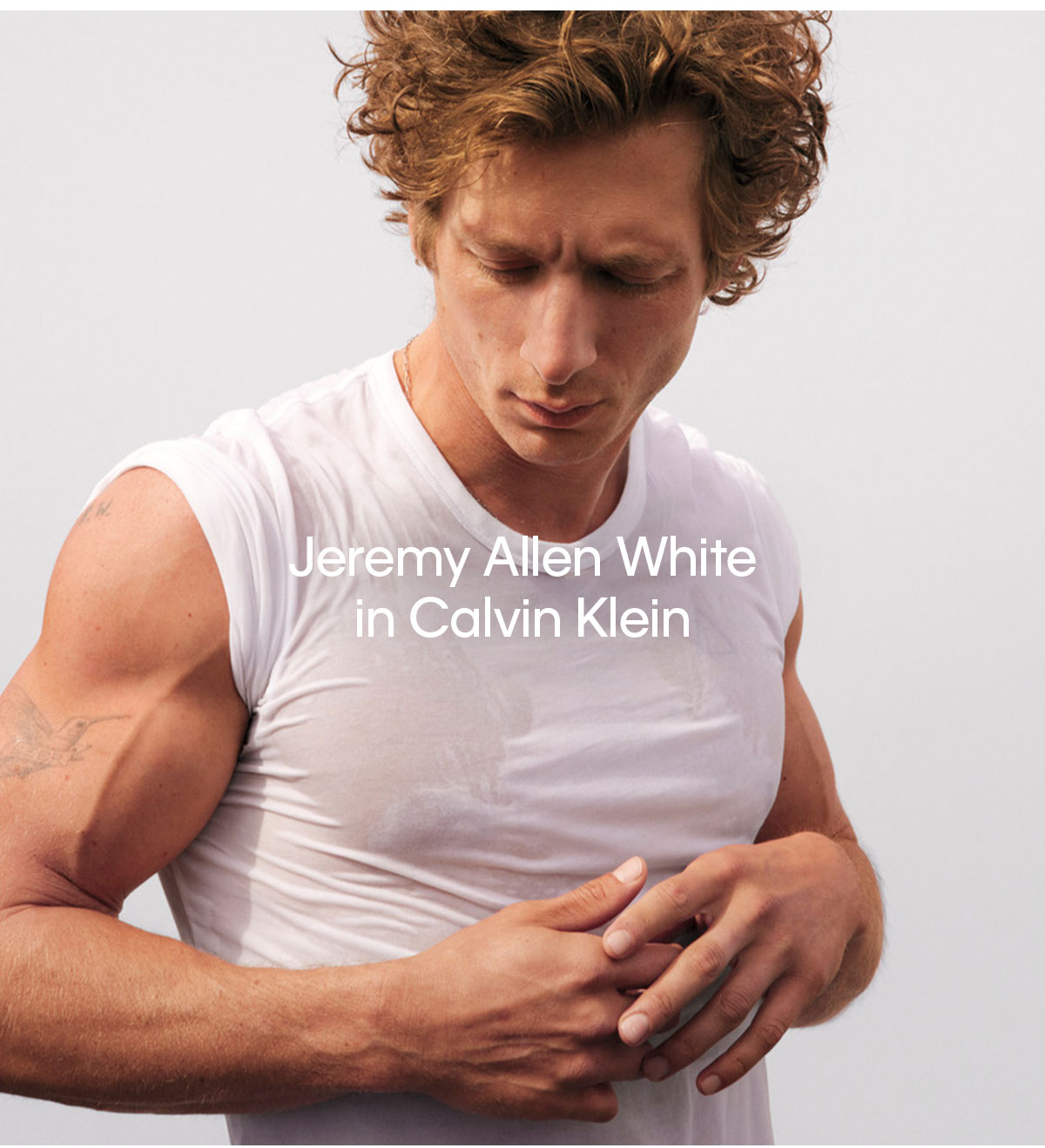 Calvin Klein: More of Jeremy Allen White | Milled