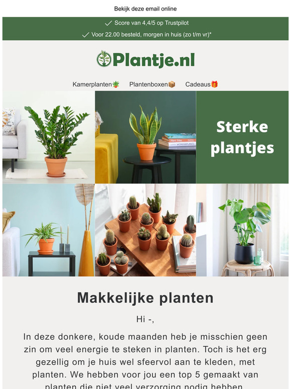 De makkelijkste planten & een winactie! 💚