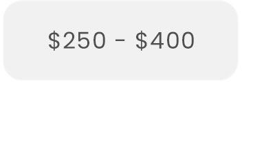 Rugs $250 to $400
