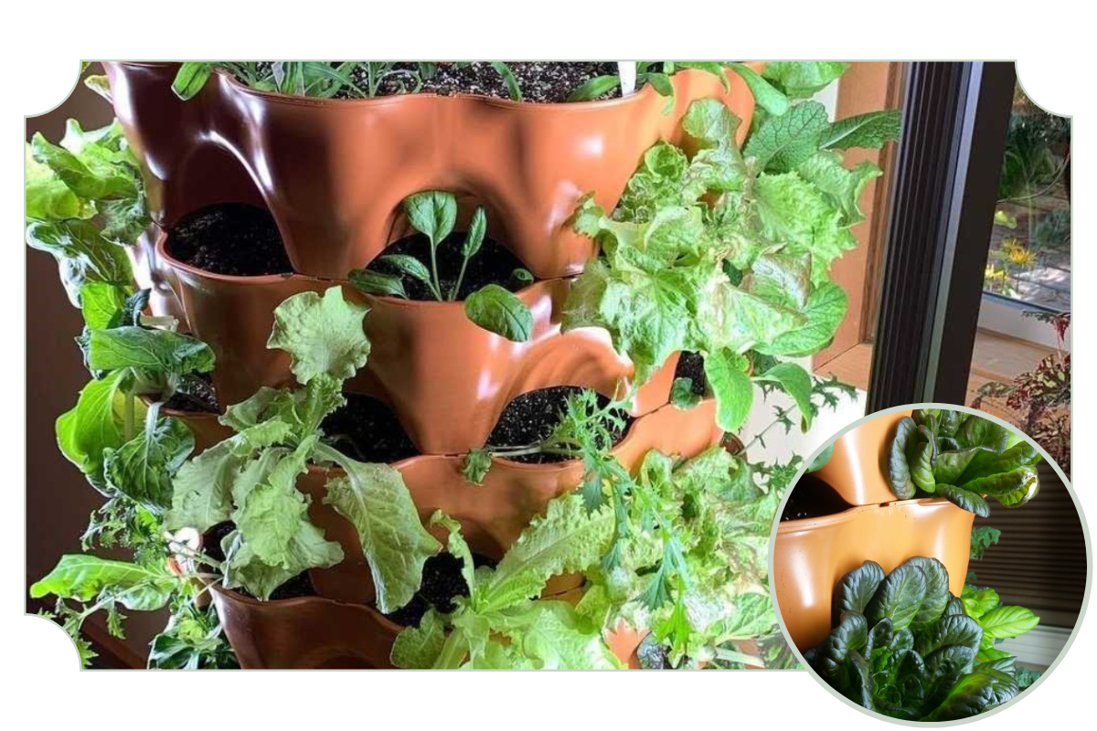 Garden Tower Project: Your Garden Tower® Winter Care Guide is Here! 🌬️🌱 ...