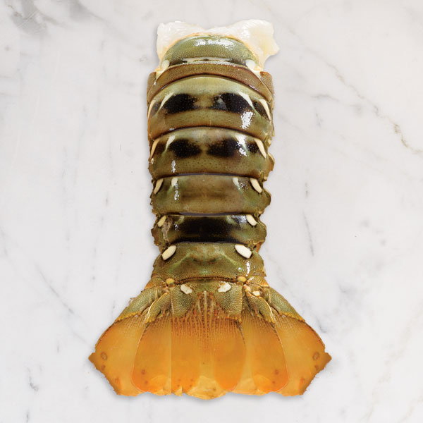 Image of North Australian Lobster Tails