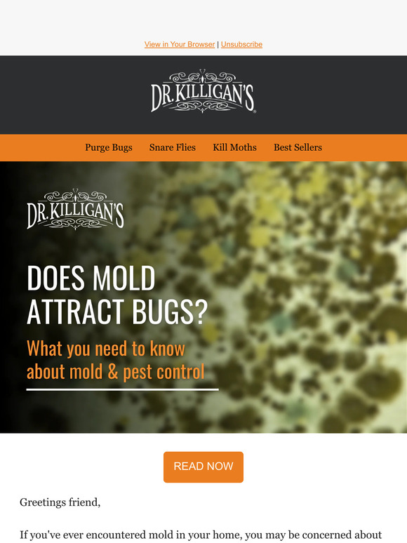 Dr. Killigan's NonToxic Pest Control Does mold attract bugs? Here's