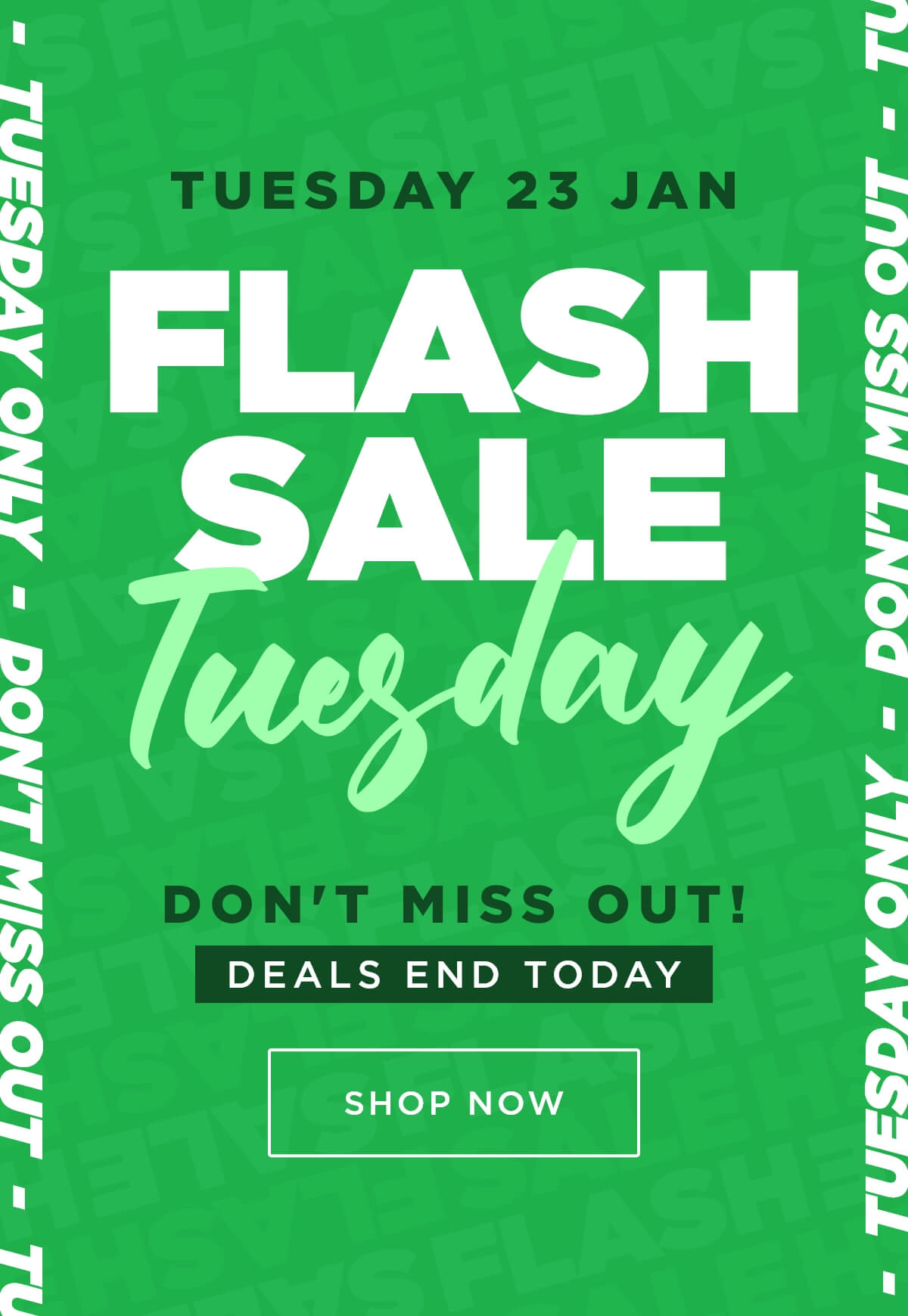 Briscoes FLASH SALE ⚡ Milled