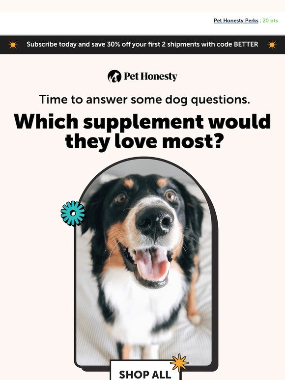 Dog questions, Pet Honesty answers
