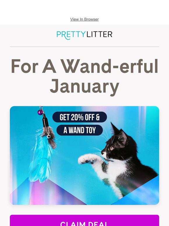 Pretty Litter 2024 Makeover Transform Your Cat's Space with Updated