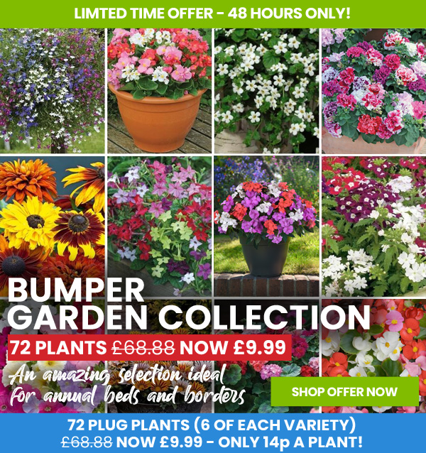 Suttons Seeds: 72 Plant Bumper Collection JUST £9.99! | Milled