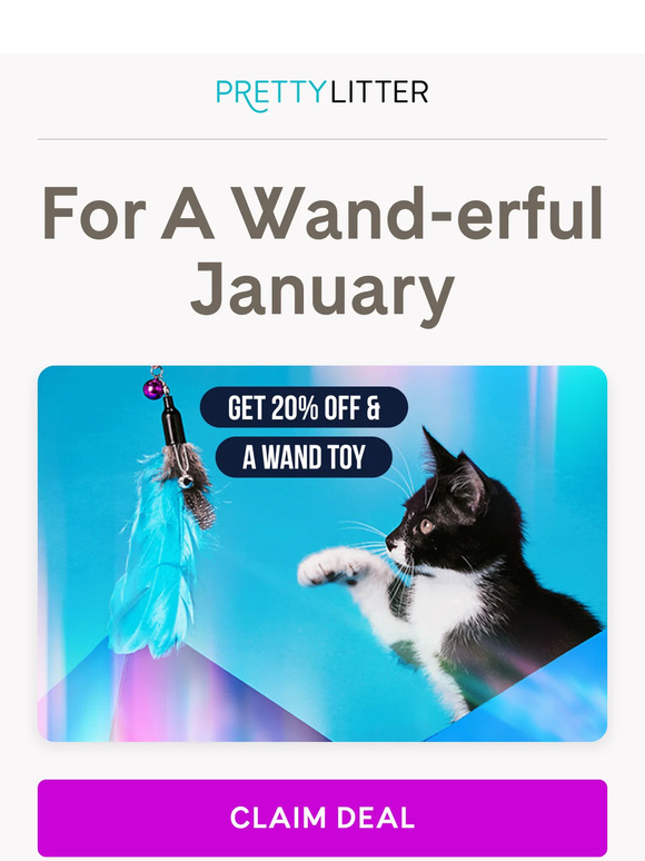 Pretty Litter CA 2024 Makeover Transform Your Cat's Space with