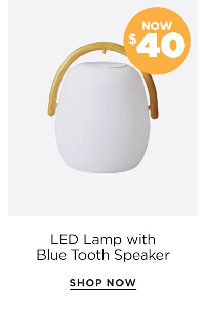 LED Lamp Outdoor with Bluetooth Speaker now $40