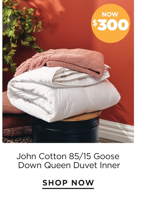 John Cotton 85/15 goose down queen duvet inner NOW $300
