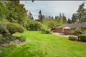 House with nice lawn