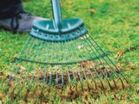 Getting Lawn Ready for Spring