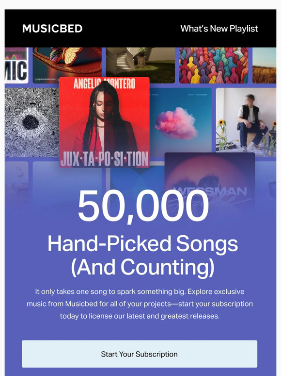 Explore 50,000 hand-picked songs (and counting)