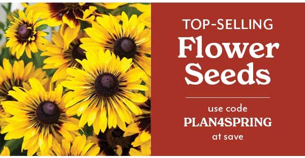 save on flower seeds