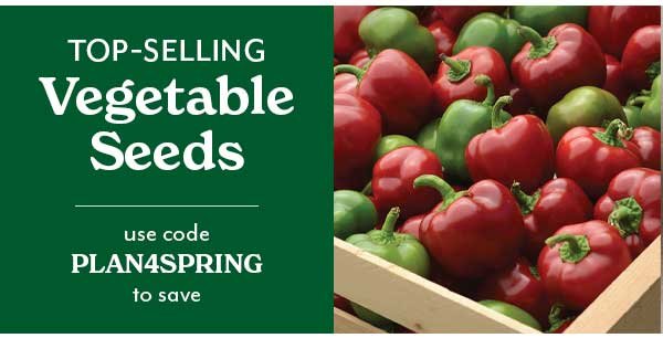 save on vegetable seeds