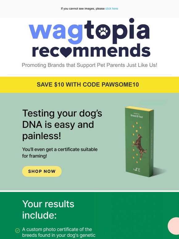 What's Your Rescue Pup's Story?