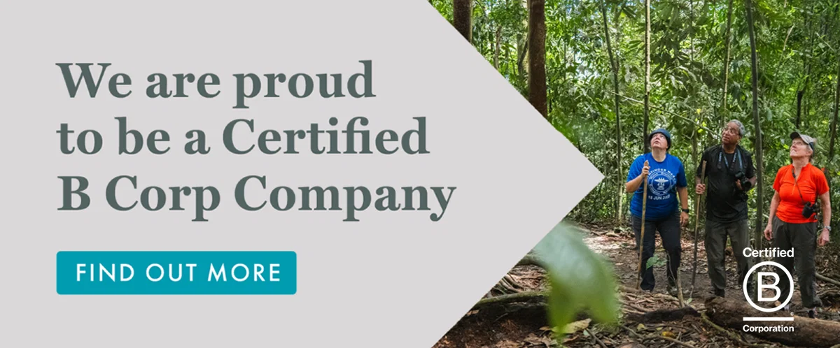 B Corp Web Banner