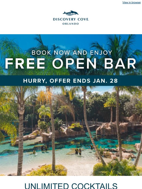 A Free Unlimited Bar Makes Paradise Better!