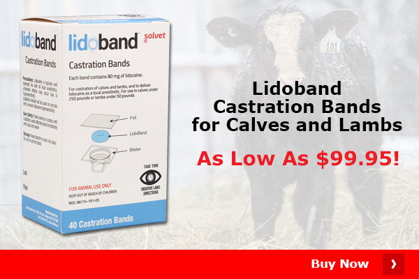 Lidoband Castration Bands for Calves and Lambs As Low As $99.95 (49598)