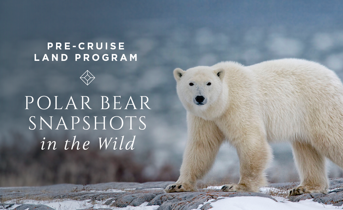 Regent Seven Seas Cruises: Journey to the Land of Polar Bears with our ...