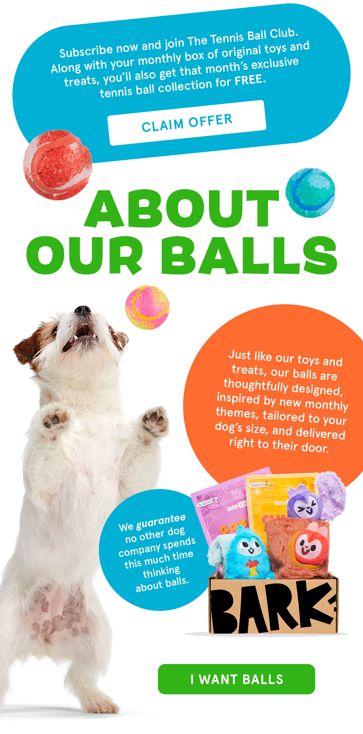 SuperChewer by BarkBox You don’t have the balls to join this 🌟NEW🌟