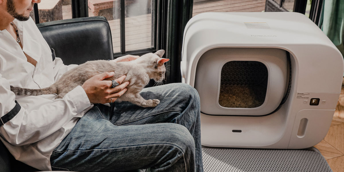 Indiegogo Live NOW on Indiegogo Flash deal on Furbulous, the world's