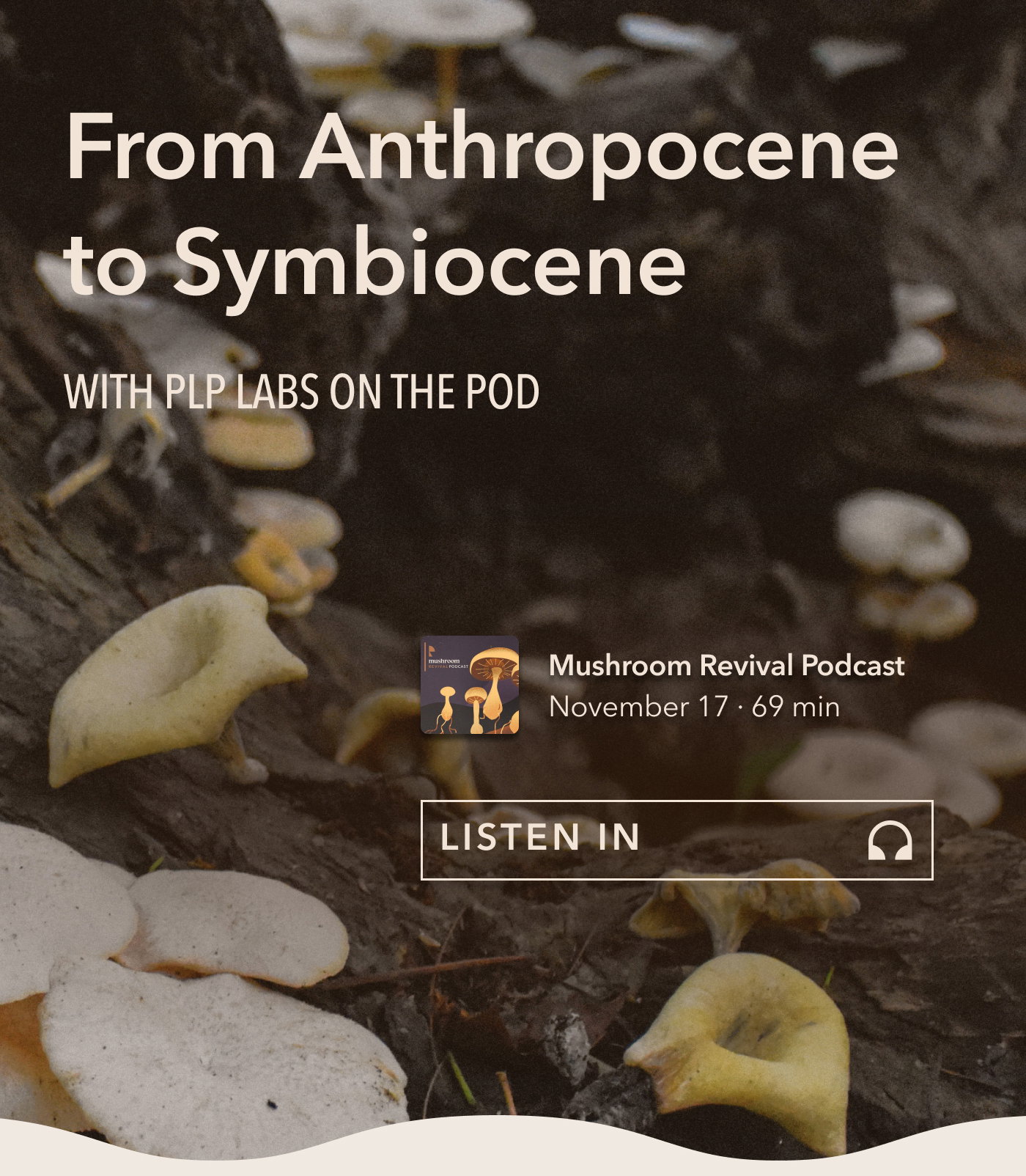 From Anthropocene to Symbiocene with PLP Labs on the pod. Mushroom Revival Podcast. November 17 69 min. Listen In