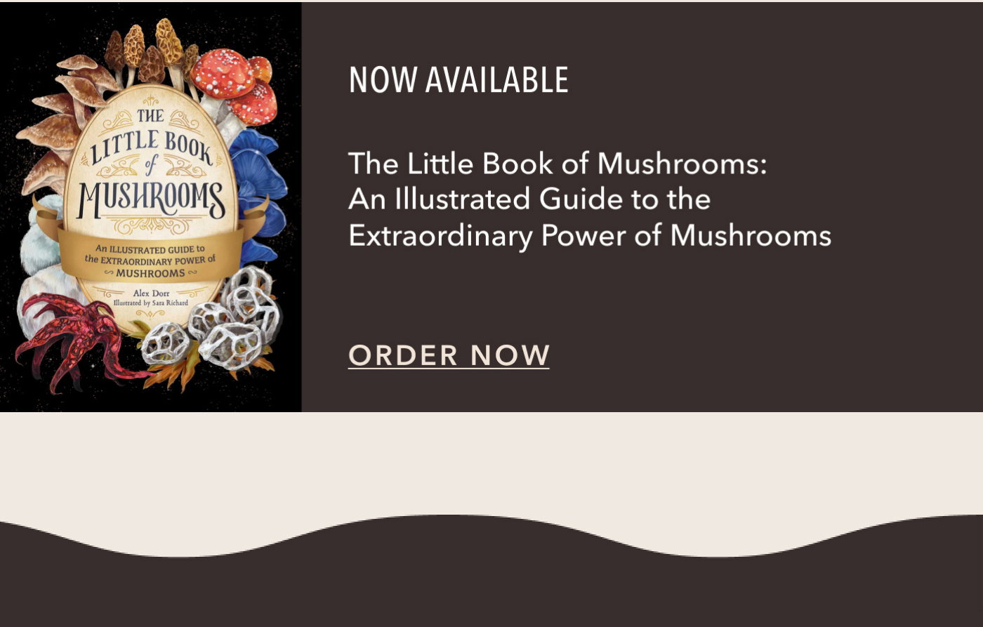 NOW AVAILABLE The Little Book of Mushrooms: An Illustrated Guide to the Extraordinary Power of Mushrooms. ORDER NOW