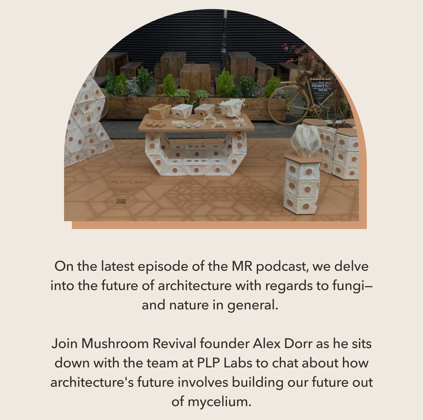 On the latest episode of the MR podcast, we delve into the future of architecture with regards to fungi—and nature in general. Join Mushroom Revival founder Alex Dorr as he sits down with the team at PLP Labs to chat about how architecture's future involves building our future out of mycelium.