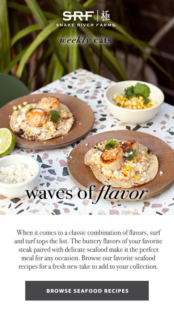 BROWSE SEAFOOD RECIPES