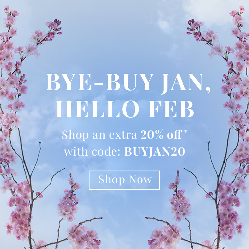 Bye Buy Jan