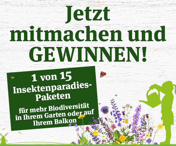 55+ Dehner Insektenparadies Garten Und Balkon, Schaffen sie in ihrem