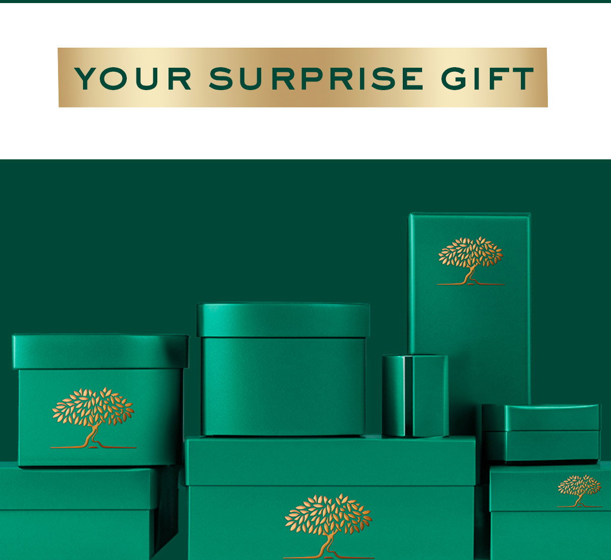 YOUR SURPRISE GIFT