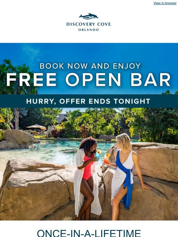 🍹 Hurry: Free Open Bar Upgrade Ends Tonight!