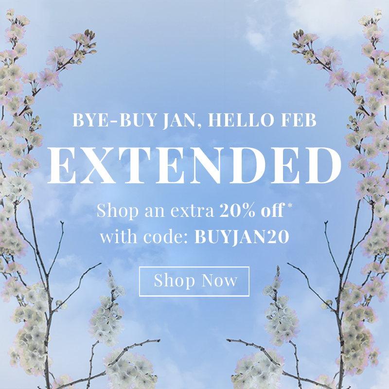 Bye Buy Jan