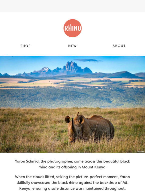 Rhino Stationery 2024 Rhino Calendar First Look! Milled