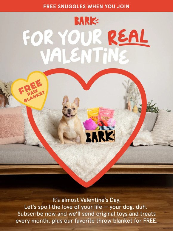 Alert: Your dog is expecting a Valentine’s Day gift 😬