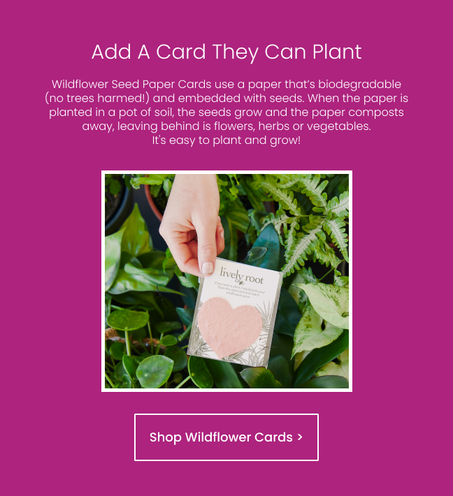 Seed Paper Card