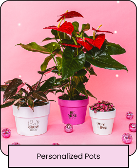 Personalized Pots